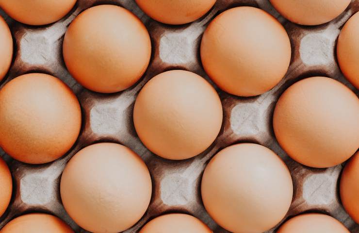 Delle uova nella loro confezione