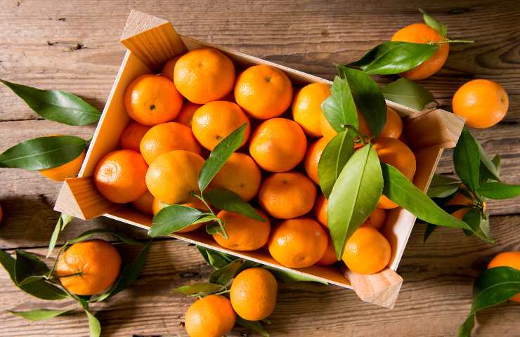 mandarini clementine differenze