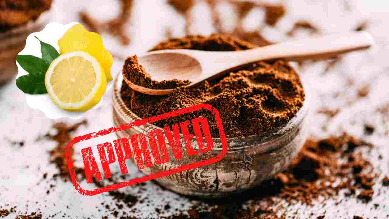 limoni e fondi di caffè metodo fertilizzante bevanda