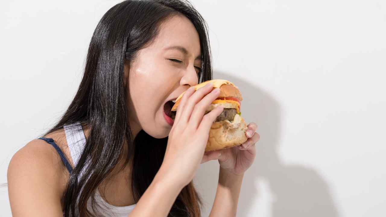 hamburger al sangue fa male salmonella escherichia