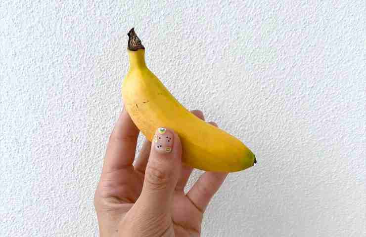 Bananito proprietà