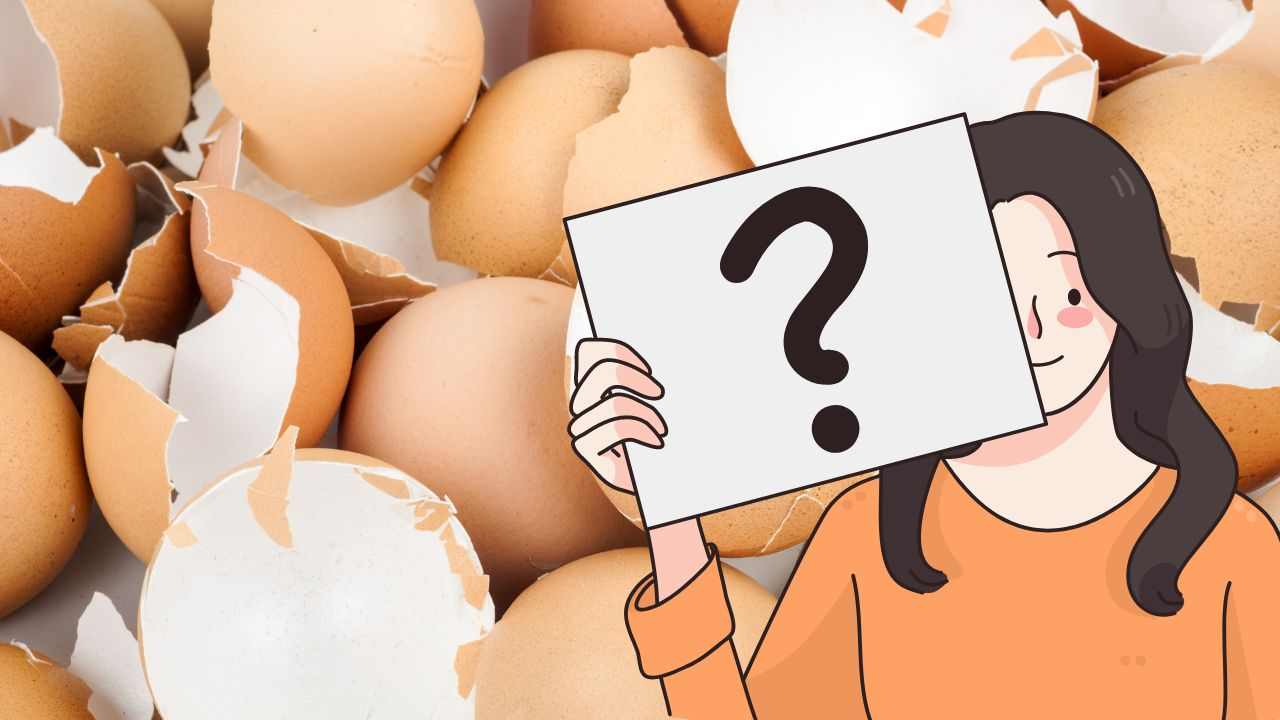 Gusci d'uovo si possono mangiare?