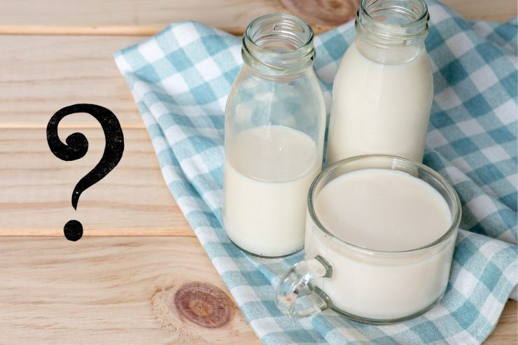 Colazione: latte intero o scremato? | Cosa ci fa veramente bene