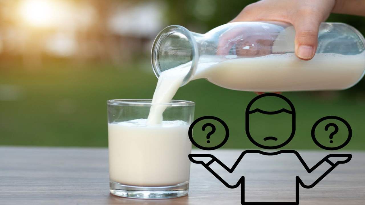 Colazione: latte intero o scremato? | Cosa ci fa veramente bene