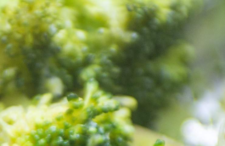 Broccoli cattivi odori