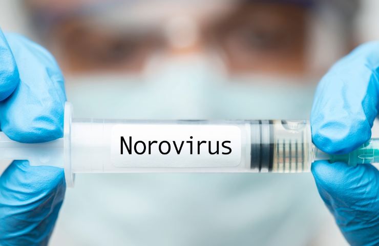La scritta Norovirus su una siringa