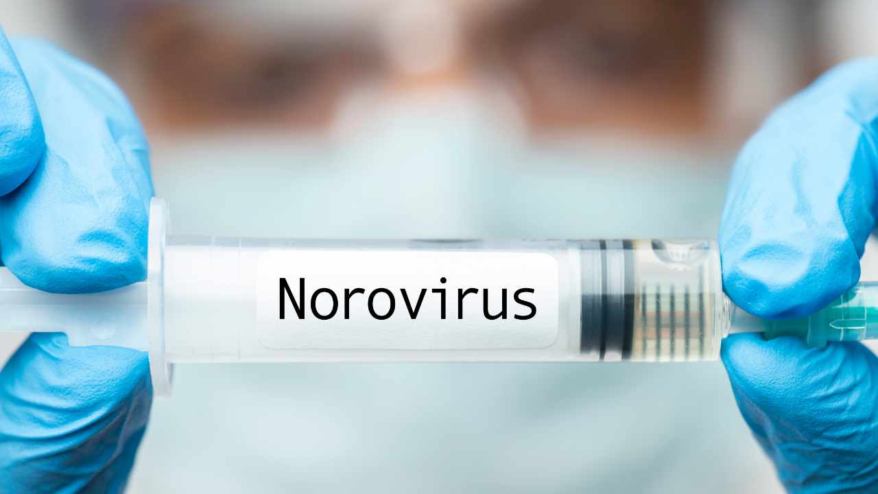 allarme norovirus alimenti dove si trova richiamo alimentare