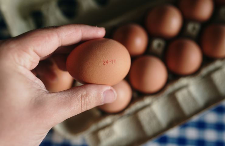 Una data di scadenza impressa su un uovo