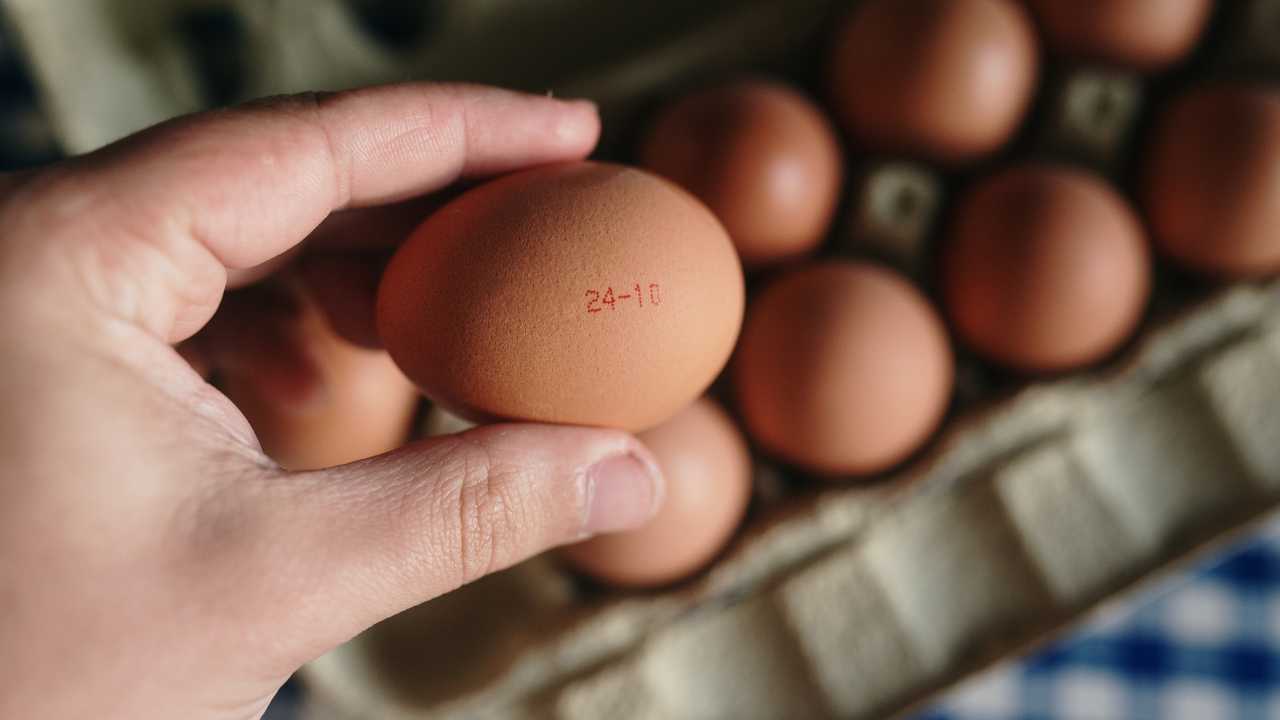 data di scadenza delle uova cosa cambia regolamento normativa