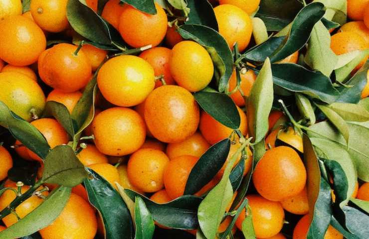 varietà arance