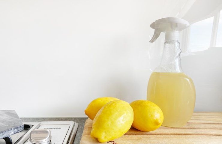 miscela di limone e aceto