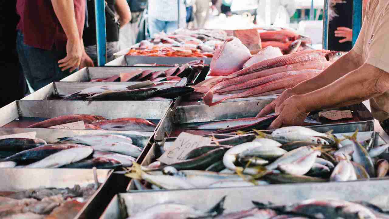 metalli nel pesce rischio quali specie cosa mangiare