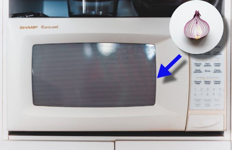 si può cuocere cipolla al microonde?