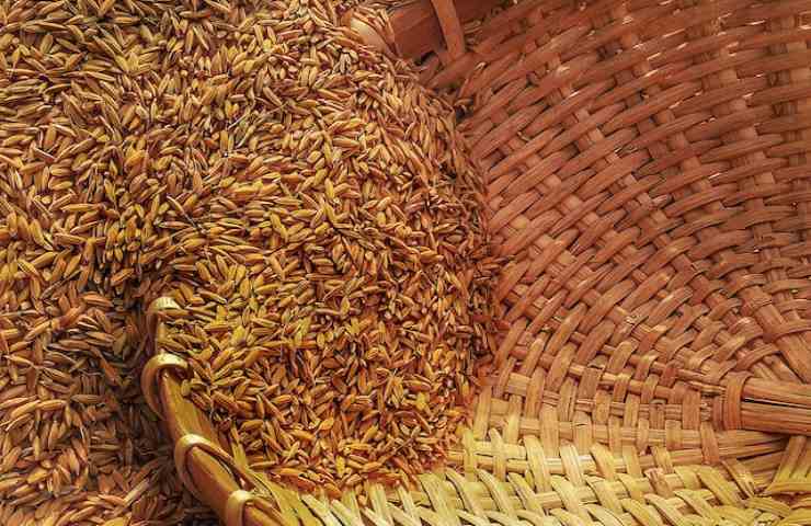 tipologie di grano