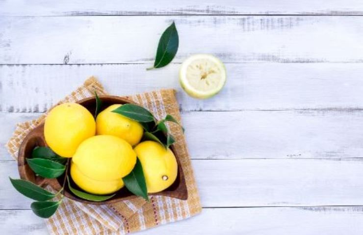 crostata ricotta limone ricetta