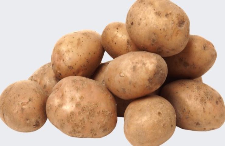 tortino radicchio patate