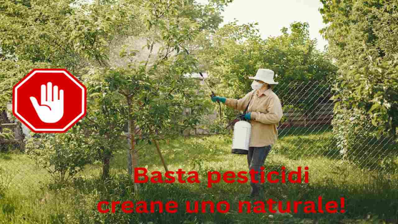 pesticida naturale