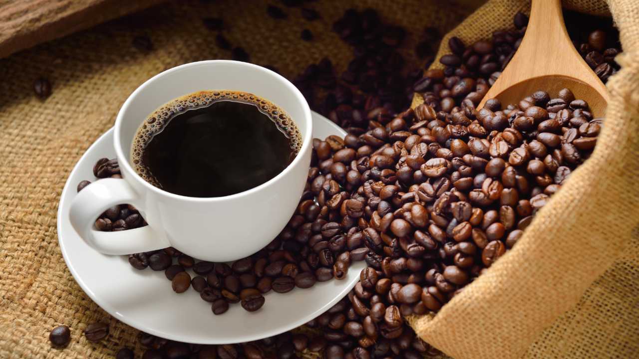 caffè lungo corto caffeina