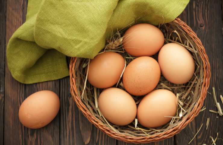 Perché mettere le uova nella carta assorbente?