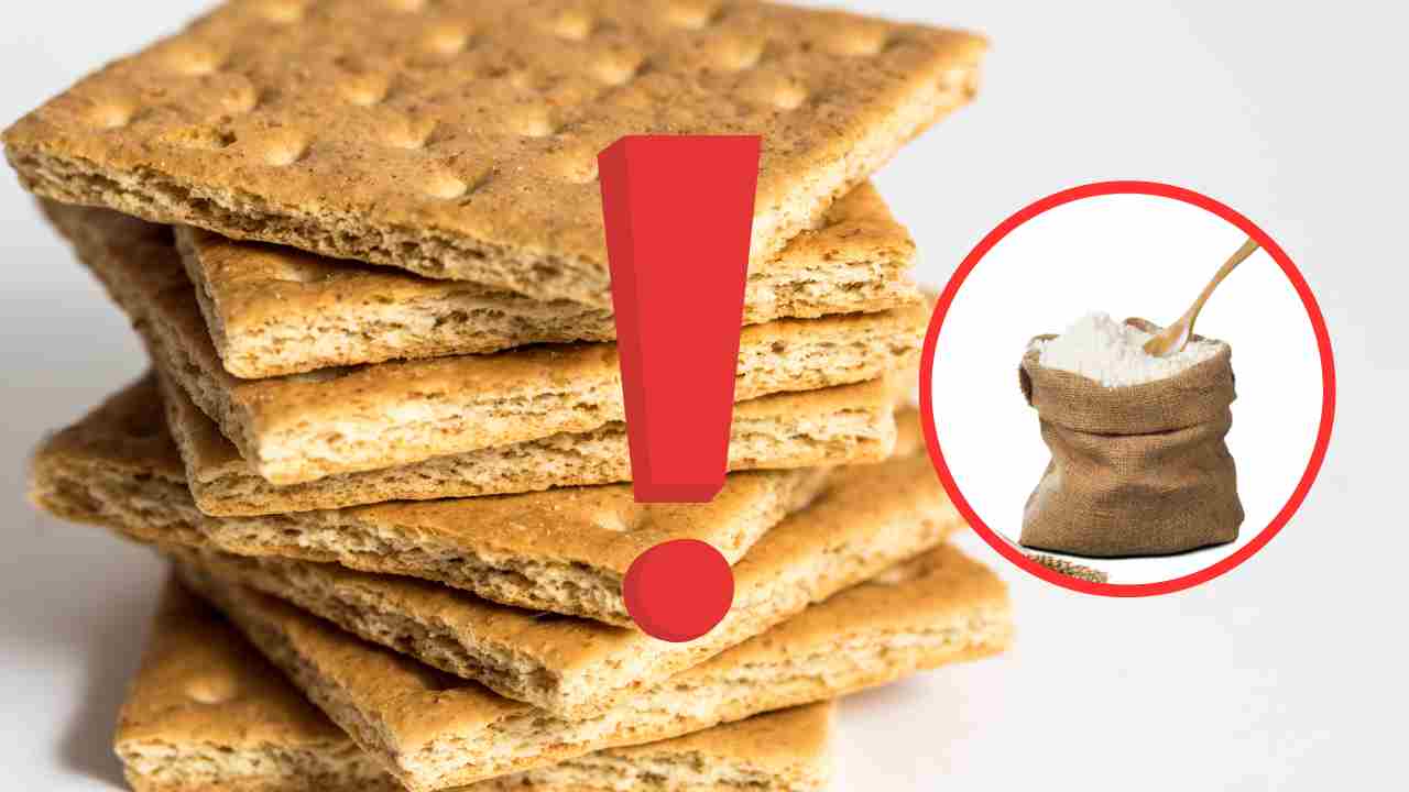 Chi vende cracker con farina d'insetti?