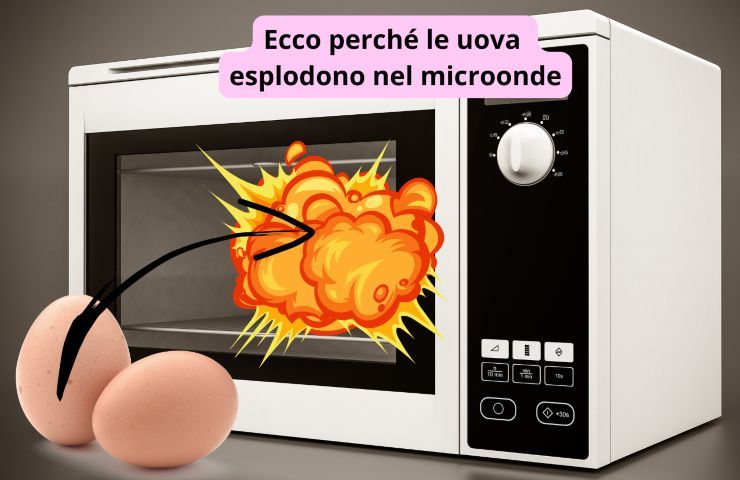 perché uova esplodono nel microonde