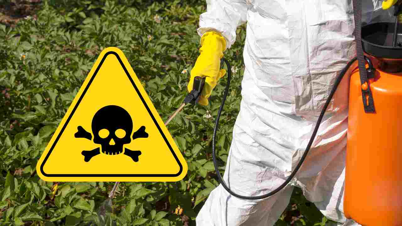 Quali sono i danni che causano i pesticidi?