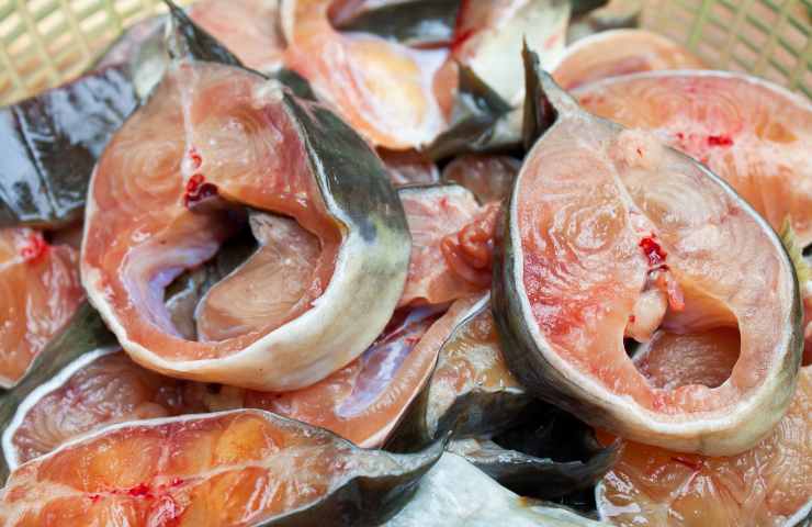 Allerta per un richiamo alimentare da mercurio nel pesce