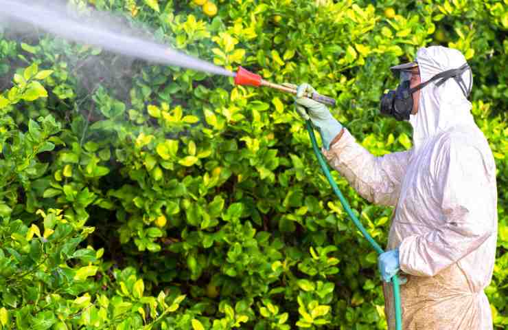Quali sono i danni che causano i pesticidi?