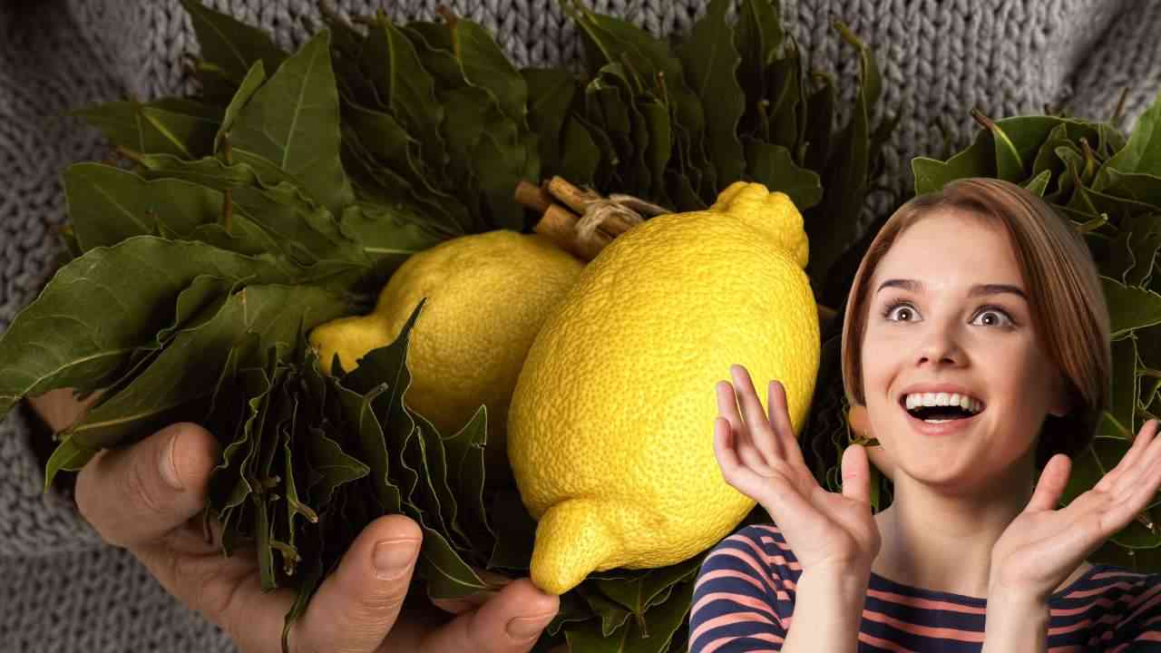 alloro limone rimedio casalingo 