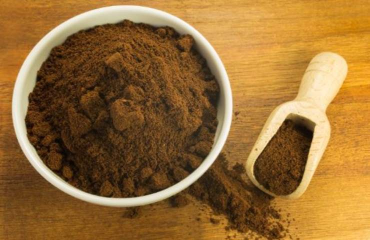 eliminare formiche caffè