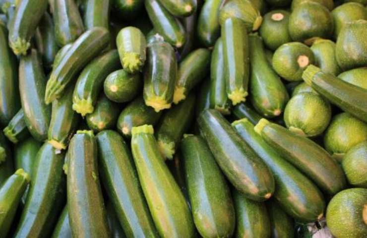 spiedini zucchine forno ricetta