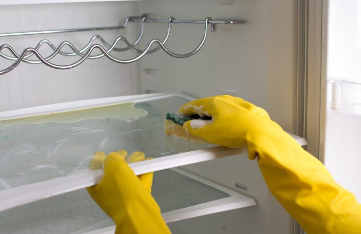 pulizia del frigo