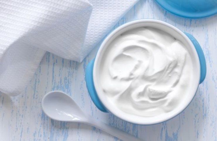yogurt tipi