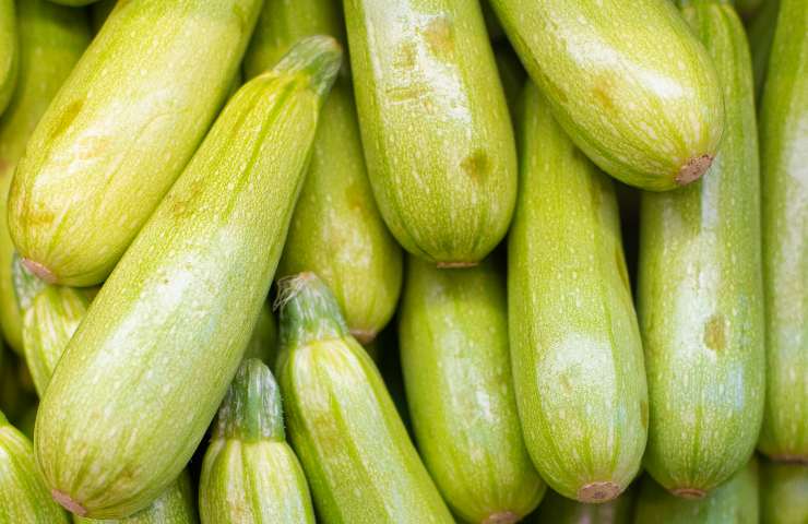 zucchine ingialliscono