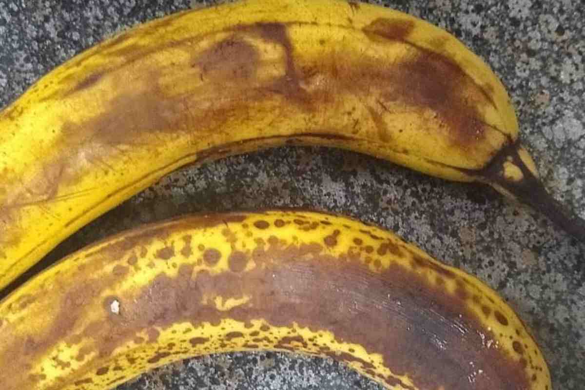 Avevo due banane nere biscotti