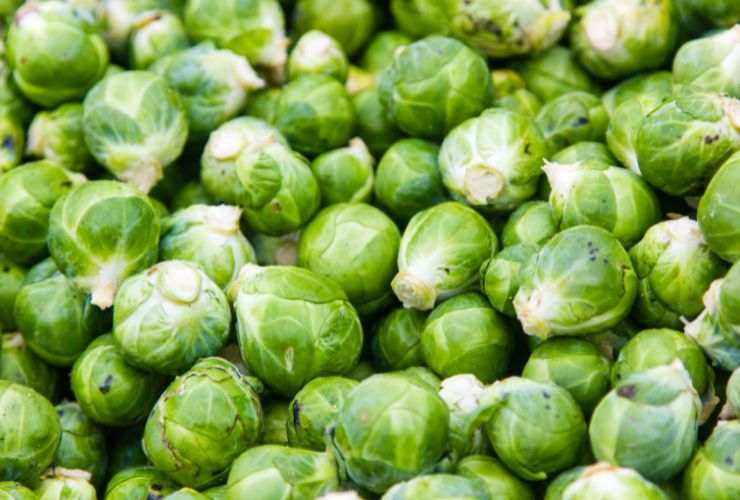 cavoletti di bruxelles